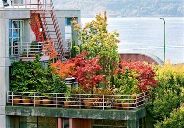 怎樣提升您家陽(yáng)臺(tái)的整體效果 怎樣提升您家陽(yáng)臺(tái)的整體效果