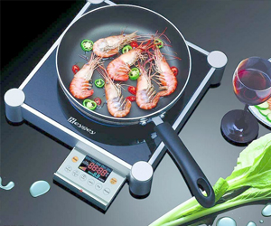 什么牌子的電磁爐好呢？