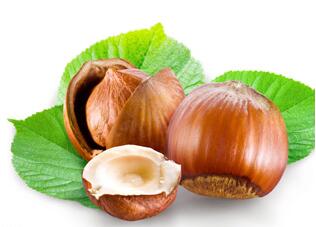 榛子和栗子是一樣的嗎？