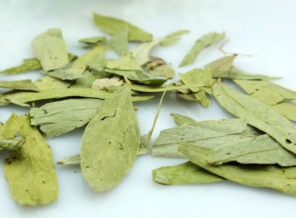 番瀉葉能不能減肥？