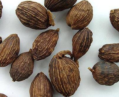 草果有什么作用？怎么制作呢？