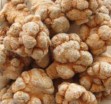 三七貴嗎？選購技巧是什么呢？