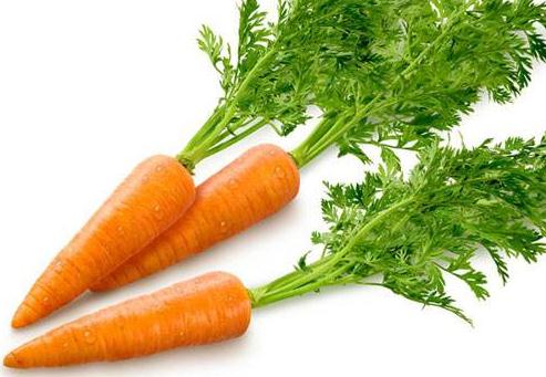 胡蘿卜