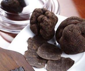 黑松露是什么？