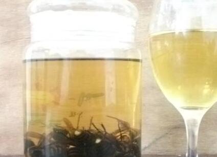 虎頭蜂酒怎么樣？有哪些功效呢？