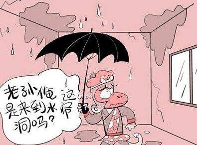 怎么辨別防水材料的真假？