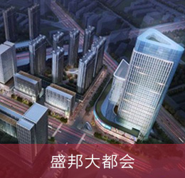 盛邦大都會五期